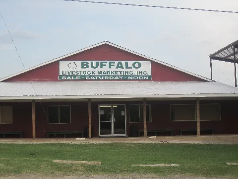 Buffalo, Tx, Auction Barn Img 2296