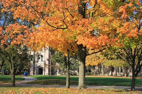 Butlerfall2014 08