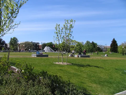 Cal Anderson Park
