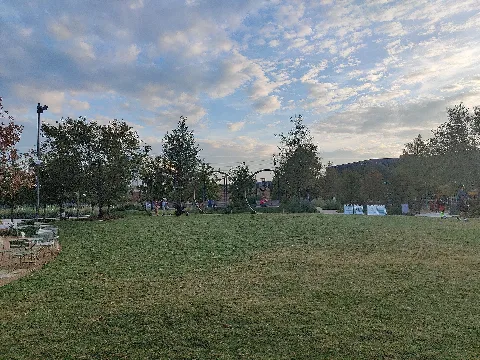 Camden Park (55032)