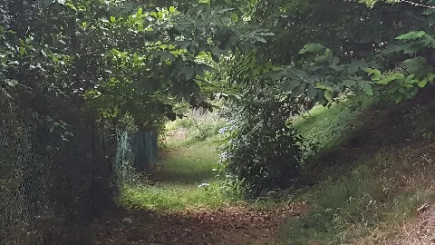 Camminando Nel Parco Marenghi