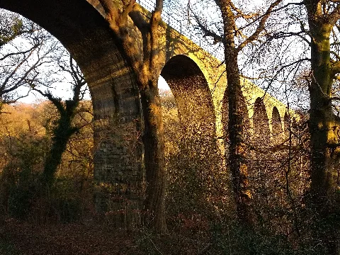 Camps Viaduct From Bank