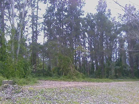 Cattai Nsw 2756, Australia Panoramio Ollie Garside (3)