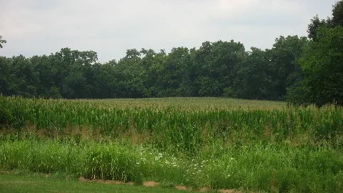 Cedar Bank Works