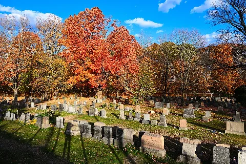 Cedar Grove Cemetery Oct 2024