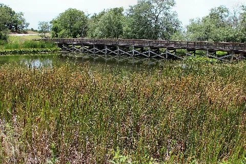 Cedar Hill State Park Perch Pond