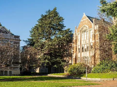 Cedrus Libani University Of Washington Quad Seattle 2026