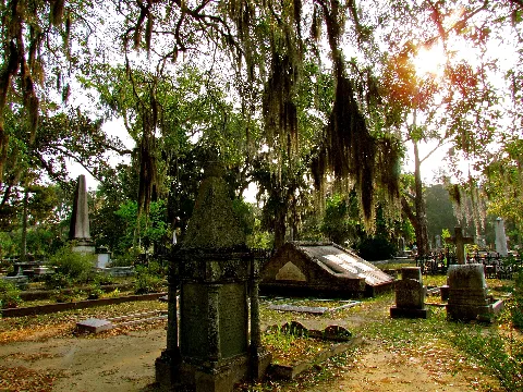 Cemeteries In Camellia Terrace
