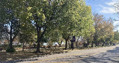Centennial Park, Evanston, Il