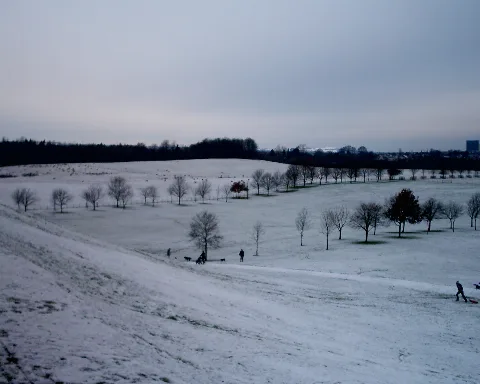 Chatelherault Country Park Covered With Snow Panoramio