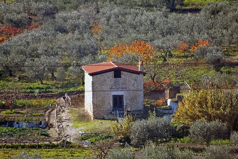 Chiesa Dello Juso
