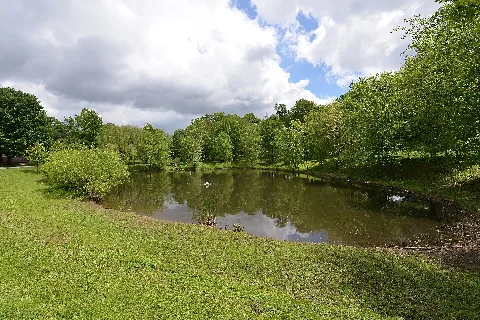 Christman Park Pond Gaithersburg Md 20210508 120600 1