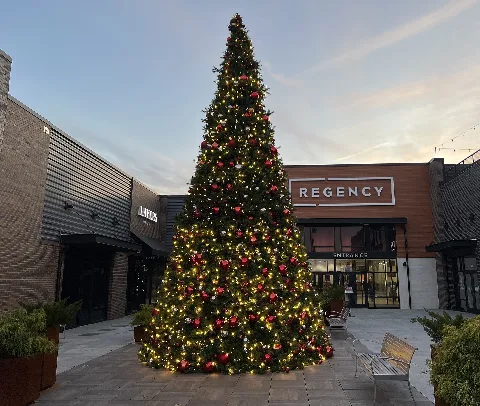 Christmas Tree At Regency Mall, Richmond