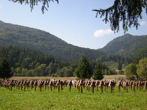 Cimitirul Valea Uzului (1)
