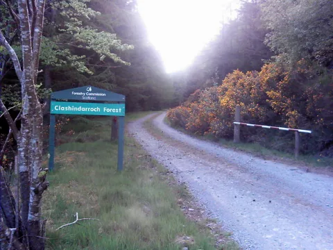 Clashindarroch Forest Geograph.org.uk 458178