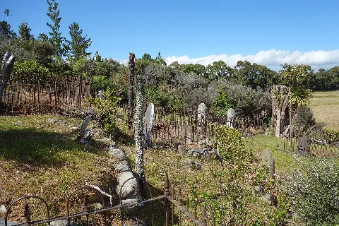 Collingwood Historic Cemetery 336