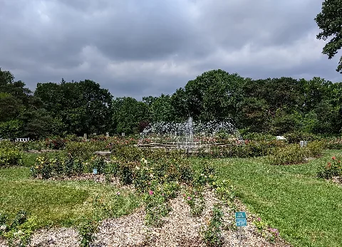 Columbus Park Of Roses 01