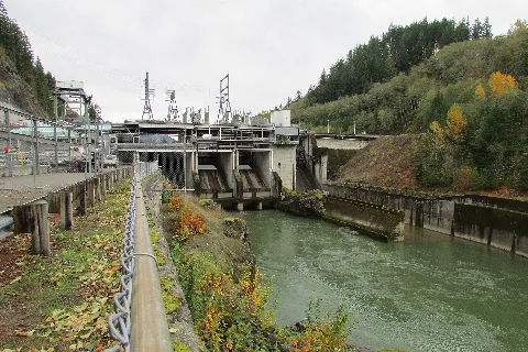 Cowlitz Falls Prjt 8136
