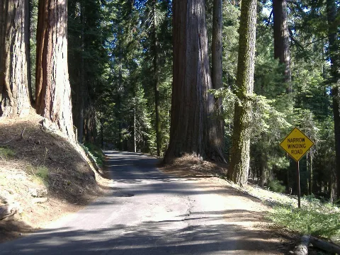 Crescent Meadow Road In Sequoia National Park, California, Us