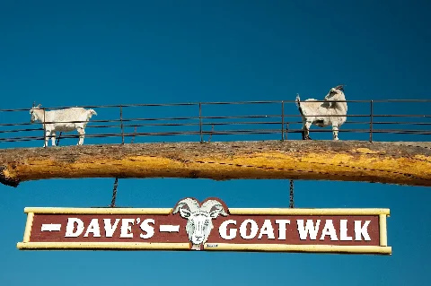 Daves Goat Walk (5113362835)