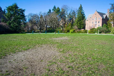 Denny Field