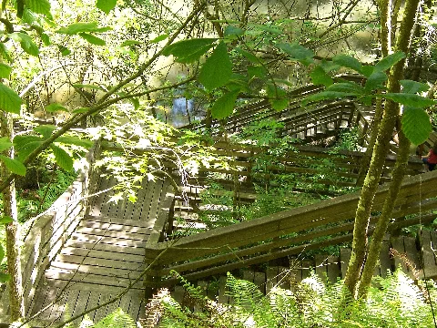 Devil's Millhopper 2