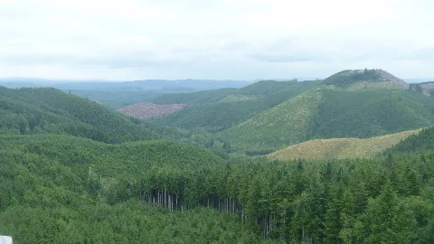 Dotyhills