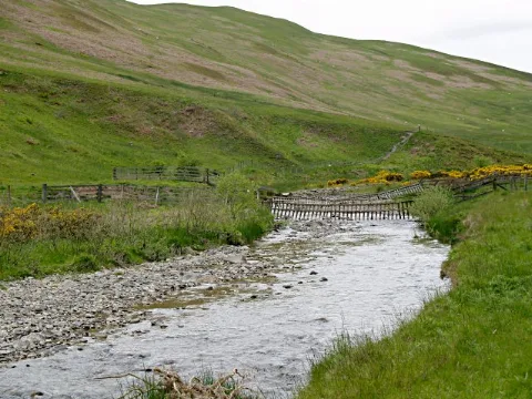 Douglas Burn Geograph.org.uk 447933