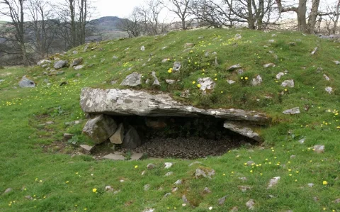 Dunchraigaig Cairn 20080427 South East Cist
