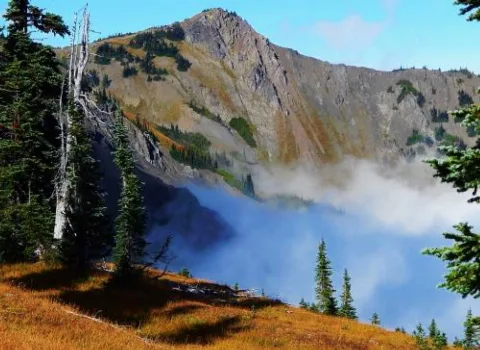 Eagle Point On Hurricane Ridge