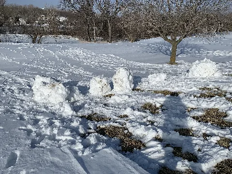 Eagle Run Golf Course 15 Inches Of Snow 2 1 2021 (2) (50899268348)