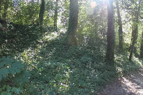 Earthwork 1