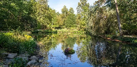 Edith J. Carrier Arboretum (31636P)