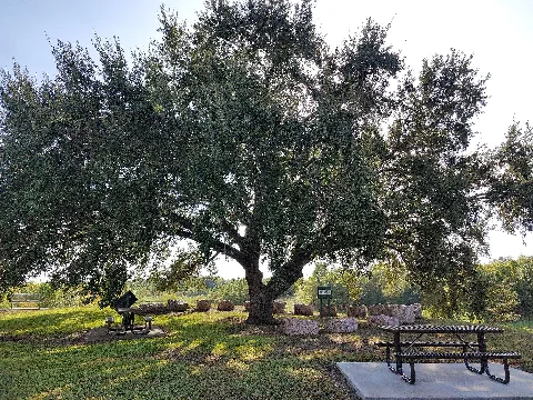 Edith Smith Outdoor Classroom (21505)