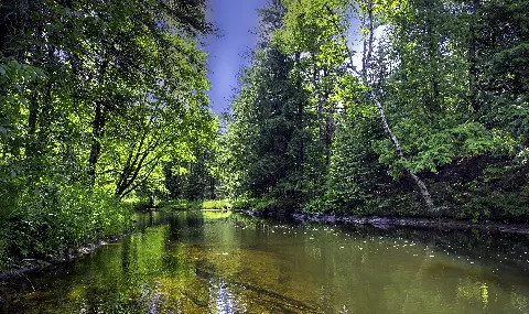 Eels Creek Panoramio