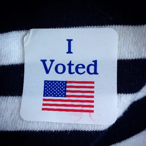 Election Day (15547893657)