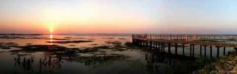 Emiquon National Wildlife Refuge