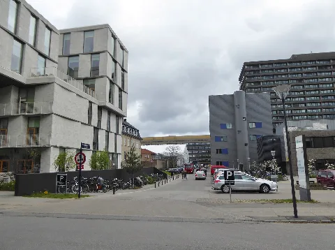 Esther Møllers Vej