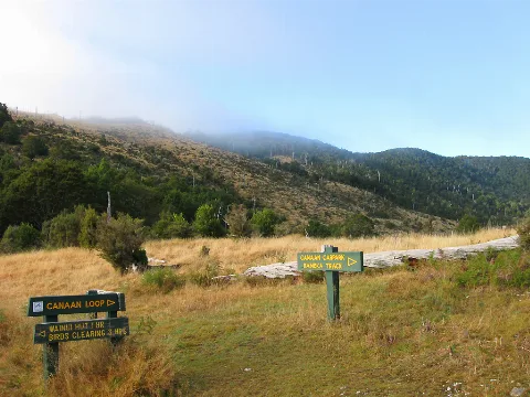 Evans Ridge From Wainui Saddle Junction Panoramio