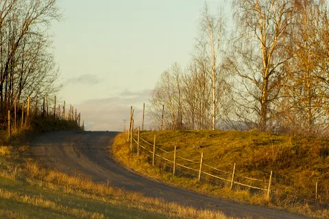 Fall Road
