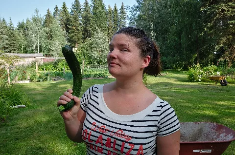 Female Human Being Holding A Homegrown Zucchini In Quesnel, British Columbia (Dscf5368)