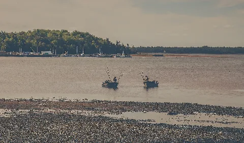 Fishing Boats (21280496893)