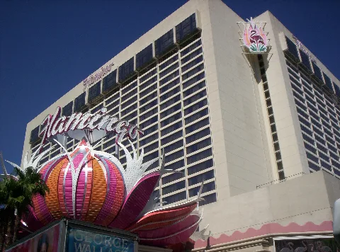 Flamingohotelyay