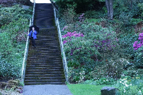 Flickr Brewbooks Mary Ellen At Streissguth Gardens Seattle (2)