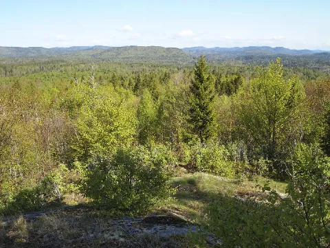 Flisefyr Hidalen Lite Birgit Broso