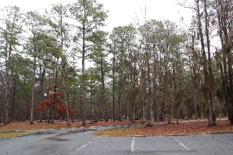 Florence State Park Campground