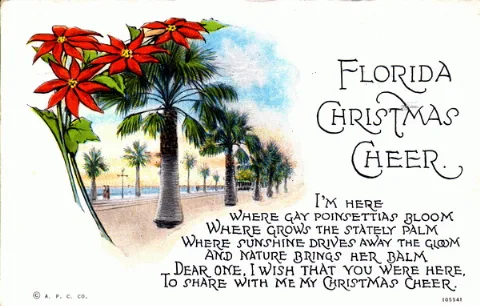 "Florida Christmas Cheer" (11516841545)