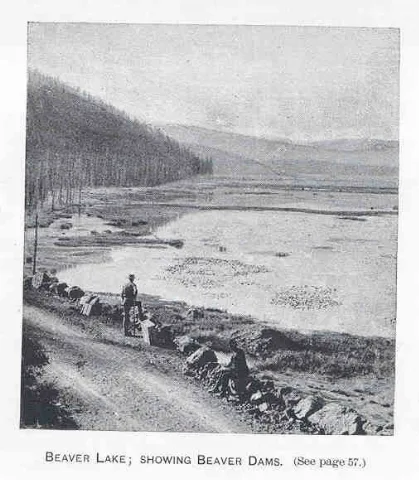 Fmib 34151 Beaver Lake; Showing Beaver Dams
