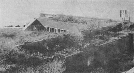 Fortlivingston3
