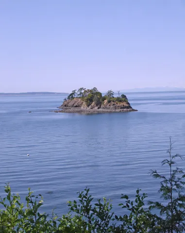Freeman Isle 7 08